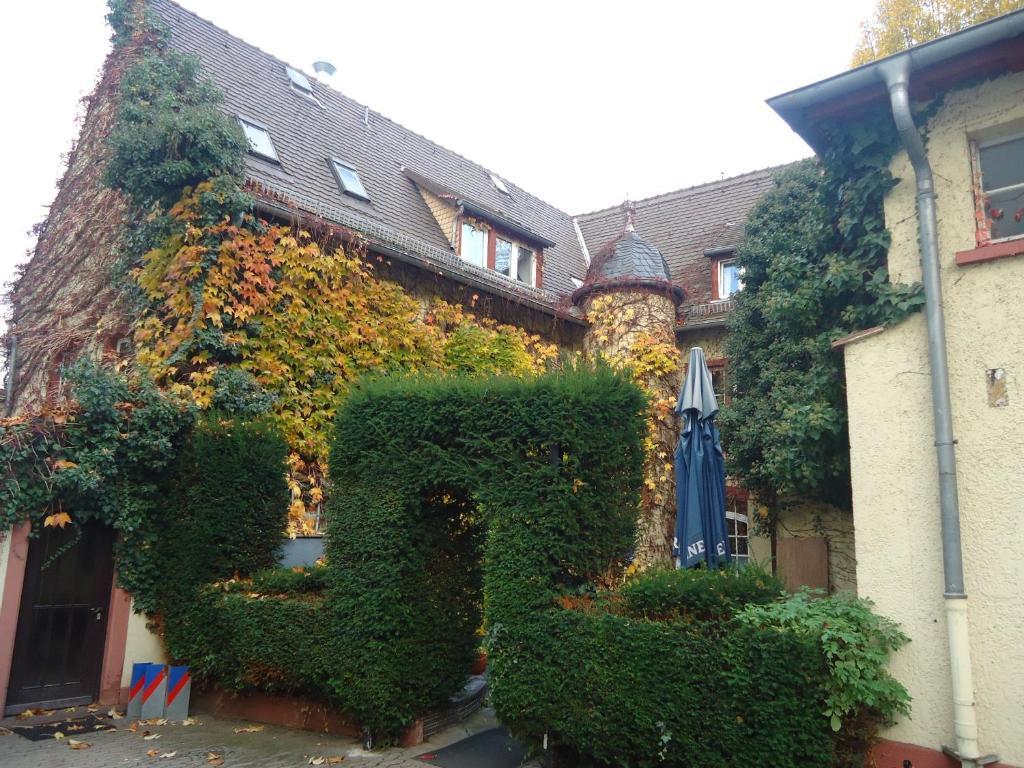 Hotel Burg-Stuben Mainz Exterior photo